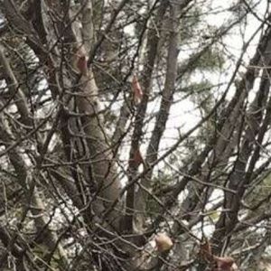 Meet your Posher, Nicholas